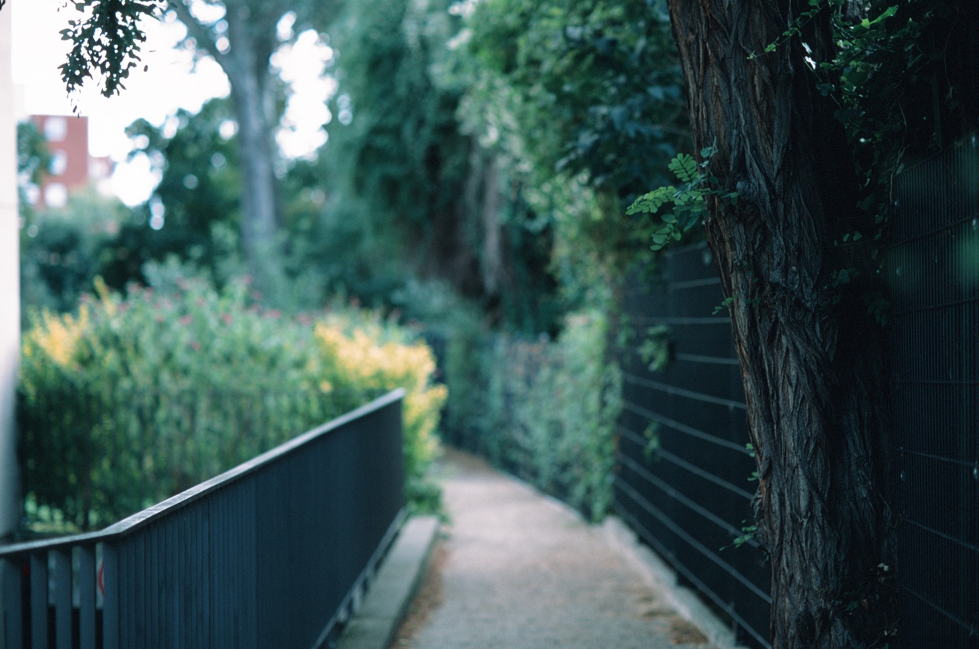 Berlin Jungle 